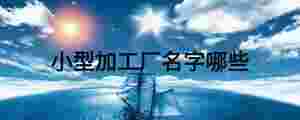 小型加工廠名字哪些