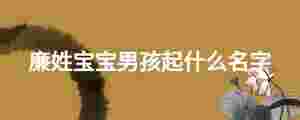 廉姓寶寶男孩起什么名字