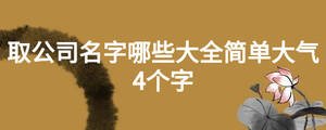取公司名字哪些大全簡單大氣4個字