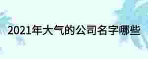 2021年大氣的公司名字哪些