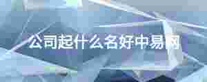 公司起什么名好中易網(wǎng)