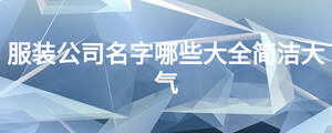 服裝公司名字哪些大全簡(jiǎn)潔大氣