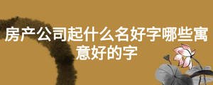 房產公司起什么名好字哪些寓意好的字