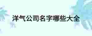 洋氣公司名字哪些大全