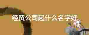 經(jīng)貿(mào)公司起什么名字好