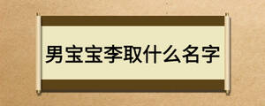 男寶寶李取什么名字