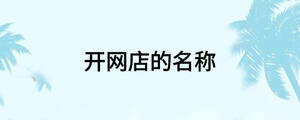 開網(wǎng)店的名稱