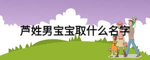 蘆姓男寶寶取什么名字