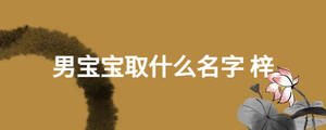 男寶寶取什么名字 梓