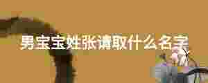 男寶寶姓張請取什么名字