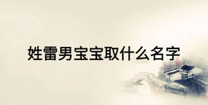 姓雷男寶寶取什么名字
