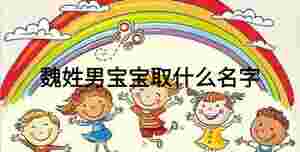 魏姓男寶寶取什么名字
