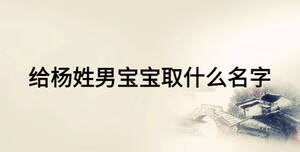 給楊姓男寶寶取什么名字