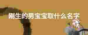 剛生的男寶寶取什么名字