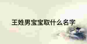 王姓男寶寶取什么名字