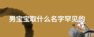 男寶寶取什么名字罕見的
