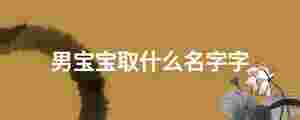 男寶寶取什么名字字