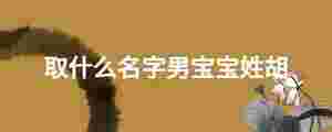 取什么名字男寶寶姓胡