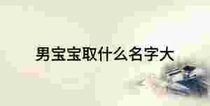 男寶寶取什么名字大