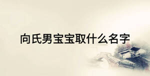 向氏男寶寶取什么名字