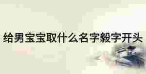 給男寶寶取什么名字毅字開頭