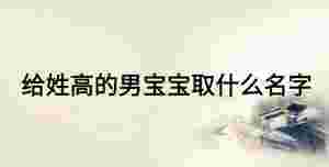 給姓高的男寶寶取什么名字