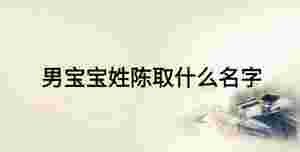 男寶寶姓陳取什么名字