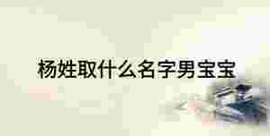 楊姓取什么名字男寶寶