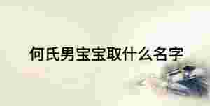 何氏男寶寶取什么名字