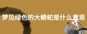 夢(mèng)見綠色的大蟒蛇是什么意思