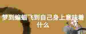 夢到蝙蝠飛到自己身上意味著什么