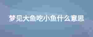 夢見大魚吃小魚什么意思