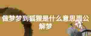 做夢夢到狐貍是什么意思周公解夢