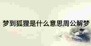 夢到狐貍是什么意思周公解夢
