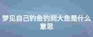 夢見自己釣魚釣到大魚是什么意思