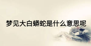 夢(mèng)見大白蟒蛇是什么意思呢