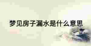 夢見房子漏水是什么意思