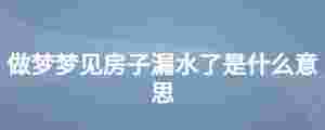 做夢(mèng)夢(mèng)見(jiàn)房子漏水了是什么意思