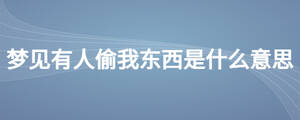 夢見有人偷我東西是什么意思