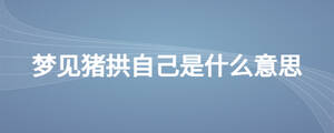 夢見豬拱自己是什么意思