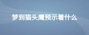 夢到貓頭鷹預示著什么