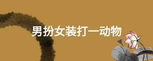 男扮女裝打一動(dòng)物