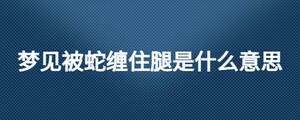 夢見被蛇纏住腿是什么意思
