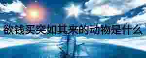 欲錢買突如其來的動物是什么