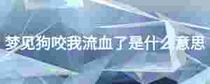 夢見狗咬我流血了是什么意思