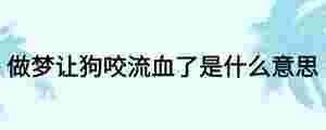 做夢讓狗咬流血了是什么意思