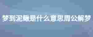 夢到泥鰍是什么意思周公解夢