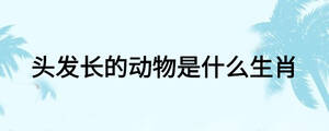 頭發(fā)長的動(dòng)物是什么生肖