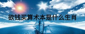 欲錢買算術本是什么生肖