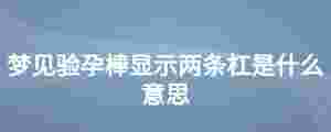 夢見驗孕棒顯示兩條杠是什么意思